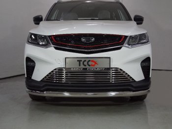 Защита переднего бампера нижняя d60,3 мм ТСС Тюнинг Geely Coolray  SX11 (2018-2023) дорестайлинг (нержавейка)