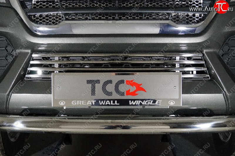5 999 р. Декоративная вставка переднего бампера ТСС Тюнинг  Great Wall Wingle 7 (2018-2023) пикап (d 16 мм)  с доставкой в г. Майкоп
