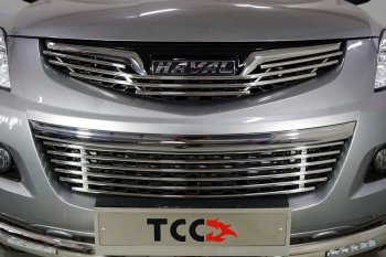 Нижняя декоративная вставка в бампер ТСС Тюнинг Haval H5 (2020-2023) рестайлинг (d 12 мм)
