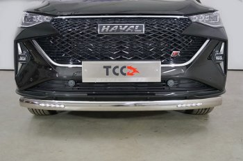 Защита переднего бампера нижняя овальная с ДХО 75х42 мм ТСС Тюнинг Haval F7 (2022-2024) рестайлинг (нержавейка)