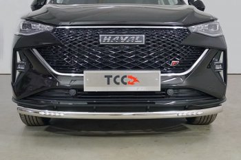 Защита переднего бампера нижняя с ДХО 60,3 мм ТСС Тюнинг Haval F7 (2022-2024) рестайлинг (нержавейка)