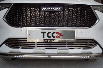 Защита передняя нижняя короткая с ДХО 60,3 мм ТСС Тюнинг Haval F7 (2018-2022)  дорестайлинг (нержавейка)