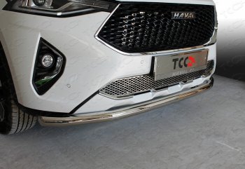 Защита передняя нижняя длинная 60,3 мм ТСС Тюнинг Haval F7 (2018-2022)  дорестайлинг (нержавейка)
