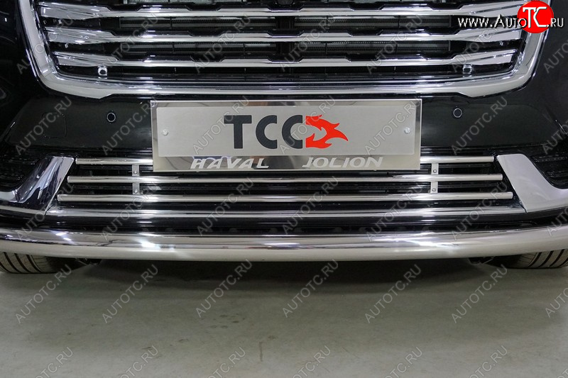 4 549 р. Нижняя декоративная вставка в бампер ТСС Тюнинг  Haval Jolion (2020-2024) дорестайлинг (d 16 мм )  с доставкой в г. Майкоп