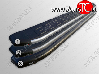 30 999 р. Пороги алюминиевые с пластиковой накладкой ТСС Тюнинг  Hyundai Starex/Grand Starex/H1  TQ (2014-2018) рестайлинг (карбон черные)  с доставкой в г. Майкоп