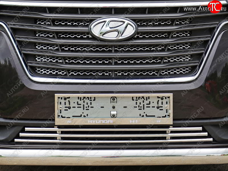 7 349 р. Декоративная вставка переднего бампера ТСС Тюнинг  Hyundai Starex/Grand Starex/H1  TQ (2017-2022) 2-ой рестайлинг (d 16 мм)  с доставкой в г. Майкоп