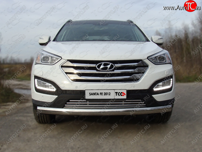 7 349 р. Декоративная вставка переднего бампера ТСС Тюнинг  Hyundai Santa Fe  DM (2012-2019) дорестайлинг, рестайлинг (d 16 мм)  с доставкой в г. Майкоп