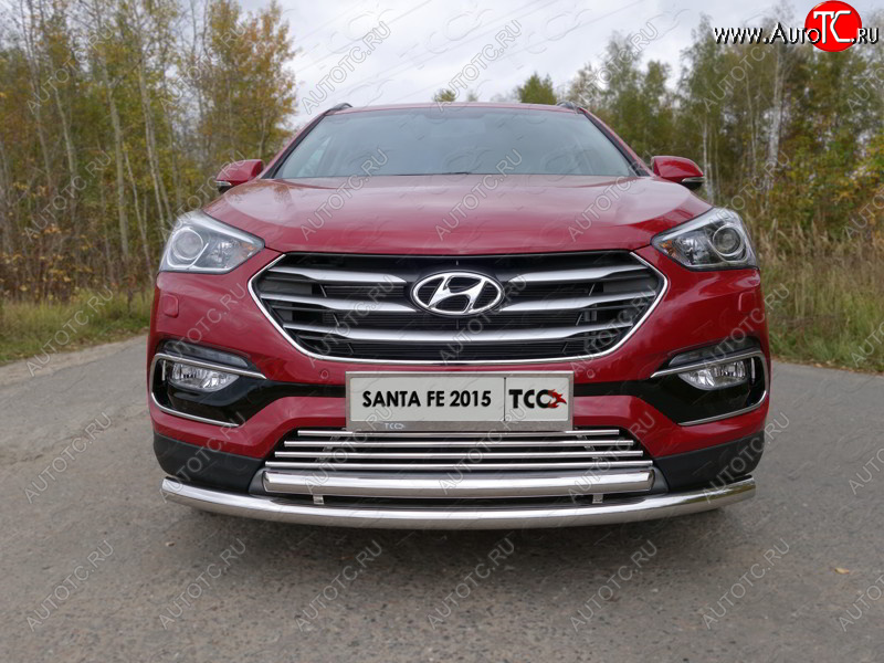 8 799 р. Декоративная вставка переднего бампера (Premium) ТСС Тюнинг  Hyundai Santa Fe  DM (2015-2019) рестайлинг (d 16 мм)  с доставкой в г. Майкоп