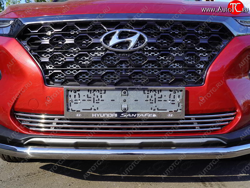 7 349 р. Нижняя декоративная вставка в бампер ТСС Тюнинг  Hyundai Santa Fe  TM (2018-2021) дорестайлинг  с доставкой в г. Майкоп