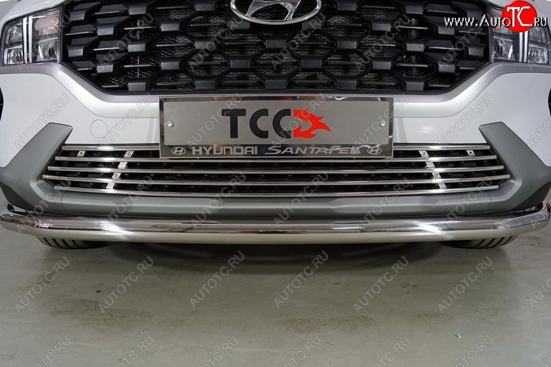 8 699 р. Нижняя декоративная вставка в бампер ТСС Тюнинг  Hyundai Santa Fe  TM (2020-2022) рестайлинг (d 12 мм)  с доставкой в г. Майкоп