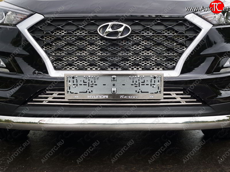 4 999 р. Нижняя декоративная вставка в бампер ТСС Тюнинг  Hyundai Tucson  TL (2018-2021) рестайлинг (d 12 мм)  с доставкой в г. Майкоп