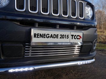 Нижняя декоративная вставка в бампер ТСС Тюнинг Jeep Renegade (2014-2018) дорестайлинг (d 12 мм)