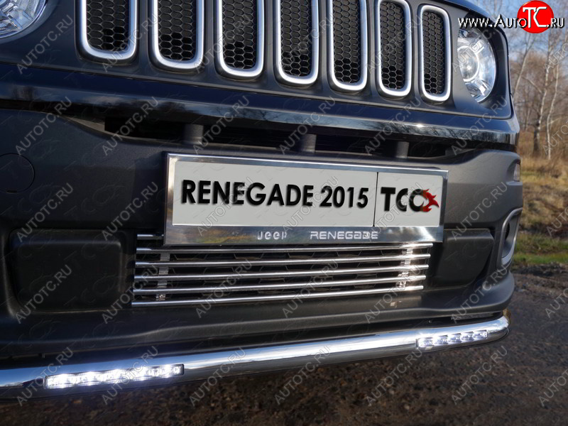 5 849 р. Нижняя декоративная вставка в бампер ТСС Тюнинг  Jeep Renegade (2014-2018) дорестайлинг (d 12 мм)  с доставкой в г. Майкоп