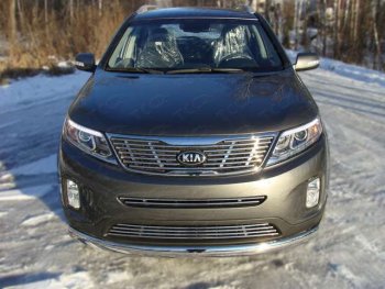 Средняя декоративная вставка в бампер ТСС Тюнинг KIA Sorento XM рестайлинг (2012-2015) (d 12 мм)