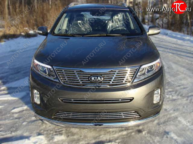 5 849 р. Нижняя декоративная вставка в бампер ТСС Тюнинг  KIA Sorento  XM (2012-2015) рестайлинг (d 12 мм)  с доставкой в г. Майкоп