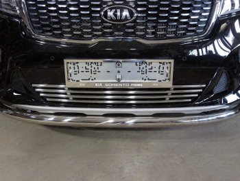 Нижняя декоративная вставка в бампер ТСС Тюнинг KIA Sorento  UM/Prime (2018-2020) рестайлинг (d 16 мм)