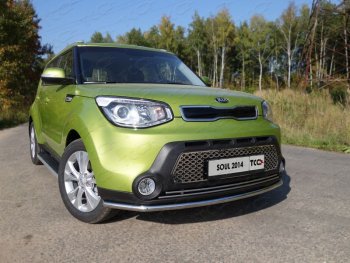 Защита переднего бампера нижняя d42,4 мм ТСС Тюнинг KIA Soul  PS (2014-2016) дорестайлинг (нержавейка)