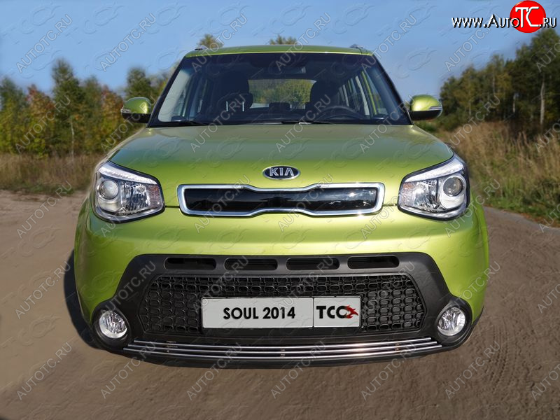 2 199 р. Нижняя декоративная вставка в бампер ТСС Тюнинг  KIA Soul  PS (2014-2016) дорестайлинг (d 12 мм)  с доставкой в г. Майкоп
