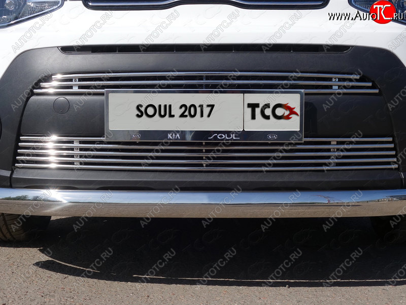 7 349 р. Нижняя декоративная вставка в бампер ТСС Тюнинг  KIA Soul  PS (2017-2019) рестайлинг (d 12 мм)  с доставкой в г. Майкоп