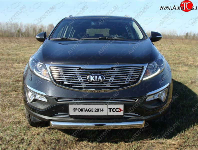 5 849 р. Нижняя декоративная вставка в бампер ТСС Тюнинг  KIA Sportage  3 SL (2014-2016) рестайлинг (d 12 мм)  с доставкой в г. Майкоп