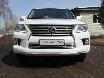 Защита переднего бампера нижняя овальная короткая 75*42 мм (кроме F-Sport) ТСС Тюнинг Lexus LX570 J200 1-ый рестайлинг (2012-2015) (нержавейка)