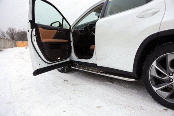 Пороги с площадкой 42,4 мм кроме F-Sport ТСС Тюнинг Lexus RX300 XU10 дорестайлинг (1995-2001) (серые)
