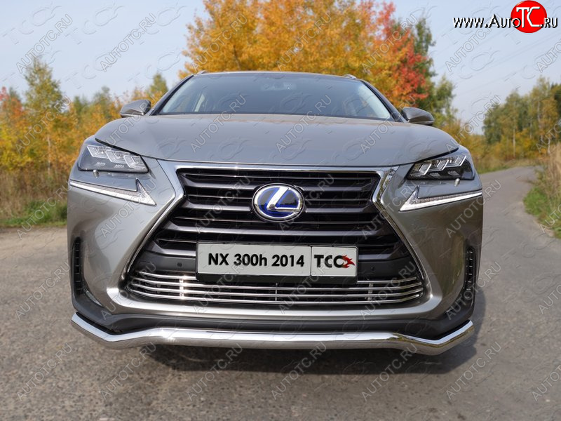 7 349 р. Декоративная вставка переднего бампера (кроме F-Sport) ТСС Тюнинг  Lexus NX300h  Z10 (2014-2017) дорестайлинг (d 12 мм)  с доставкой в г. Майкоп