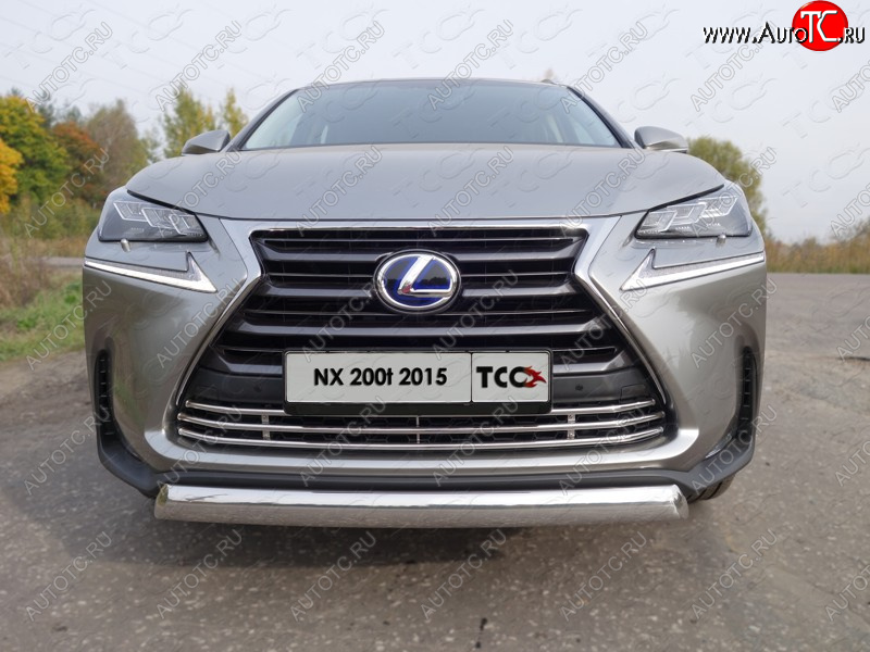 8 799 р. Декоративная вставка переднего бампера (кроме F-Sport) ТСС Тюнинг Lexus NX200T Z10 (2014-2017) (d 16 мм)  с доставкой в г. Майкоп