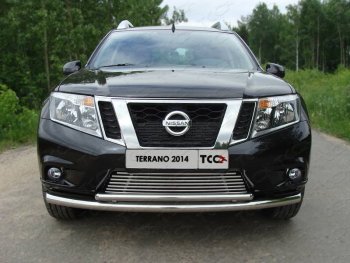 Декоративная вставка переднего бампера ТСС Тюнинг Nissan Terrano  D10 (2013-2016) дорестайлинг (d 12 мм)