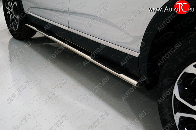 29 749 р. Пороги овальные с накладкой 75х42 мм ТСС Тюнинг Renault Arkana (2019-2025) (серые)  с доставкой в г. Майкоп