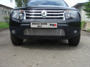 Декоративная вставка переднего бампера ТСС Тюнинг Renault Duster  HS (2010-2015) дорестайлинг (d 12 мм)
