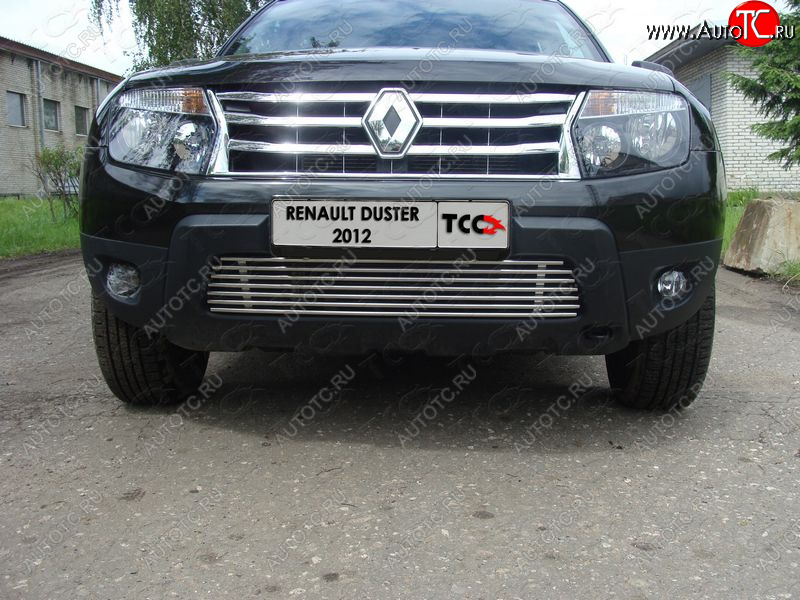 7 349 р. Декоративная вставка переднего бампера ТСС Тюнинг  Renault Duster  HS (2010-2015) дорестайлинг (d 12 мм)  с доставкой в г. Майкоп