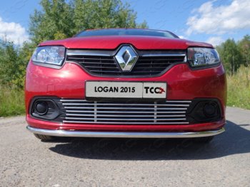 Нижняя декоративная вставка в бампер ТСС Тюнинг Renault Logan  2 (2014-2018) дорестайлинг (d 12 мм)