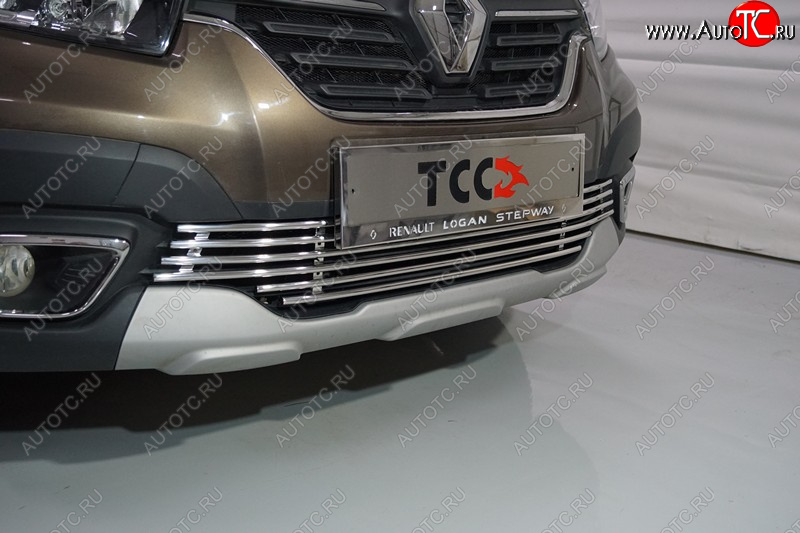 6 549 р. Нижняя декоративная вставка в бампер ТСС Тюнинг  Renault Logan Stepway (2018-2025) (d 12 мм)  с доставкой в г. Майкоп
