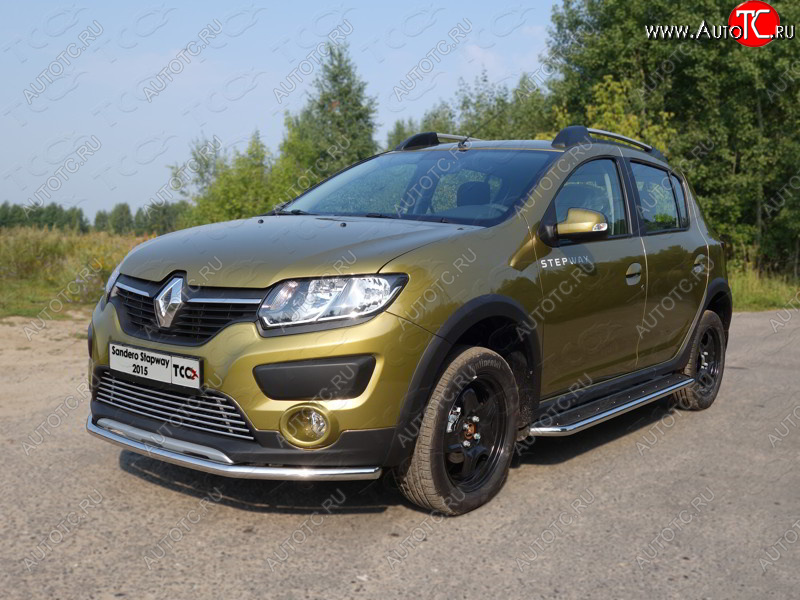 11 749 р. Защита переднего бампера нижняя d42,4 мм ТСС Тюнинг  Renault Sandero Stepway  (B8) (2014-2018) дорестайлинг (нержавейка)  с доставкой в г. Майкоп