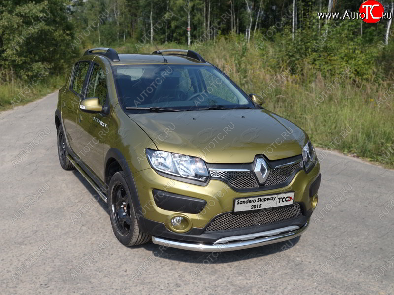 14 699 р. Защита переднего бампера нижняя d60,3 мм ТСС Тюнинг  Renault Sandero Stepway  (B8) (2014-2018) дорестайлинг (нержавейка)  с доставкой в г. Майкоп