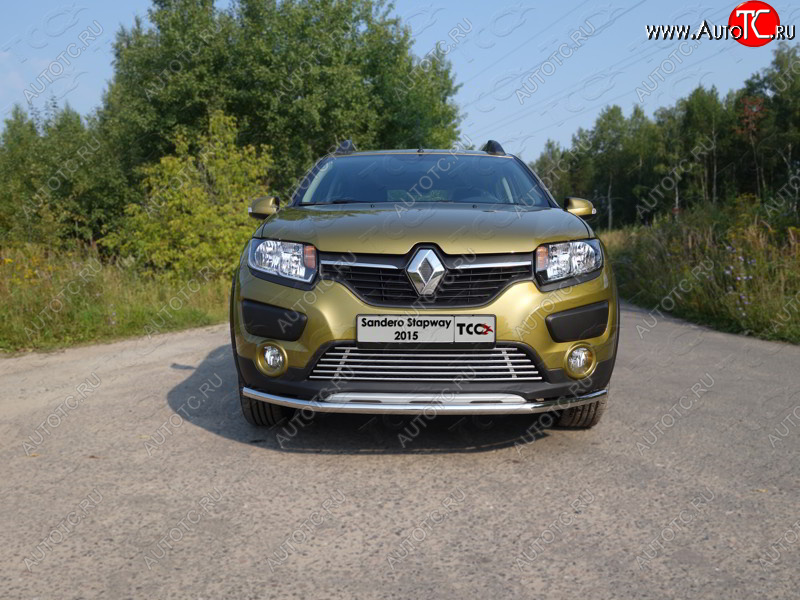 7 349 р. Нижняя декоративная вставка в бампер ТСС Тюнинг  Renault Sandero Stepway  (B8) (2014-2018) дорестайлинг (d 12 мм)  с доставкой в г. Майкоп
