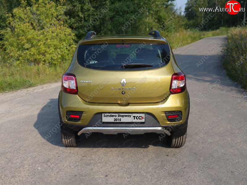 11 749 р. Защита задняя (нержавейка 42,4 мм), ТСС Тюнинг  Renault Sandero Stepway  (B8) (2014-2018) дорестайлинг  с доставкой в г. Майкоп