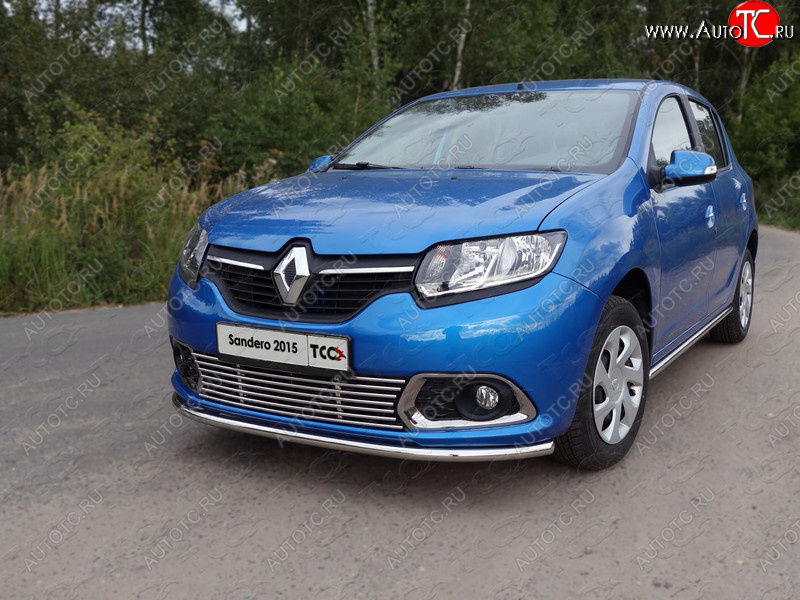 8 799 р. Нижняя декоративная вставка в бампер ТСС Тюнинг  Renault Sandero  (B8) (2014-2018) дорестайлинг (d 12 мм)  с доставкой в г. Майкоп