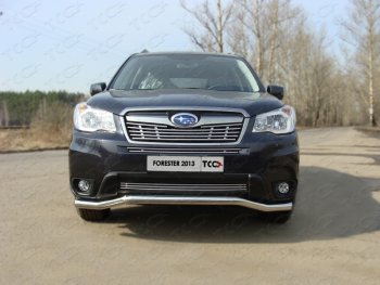 Средняя декоративная вставка в бампер ТСС Тюнинг Subaru Forester SJ дорестайлинг (2012-2016) (d 12 мм)