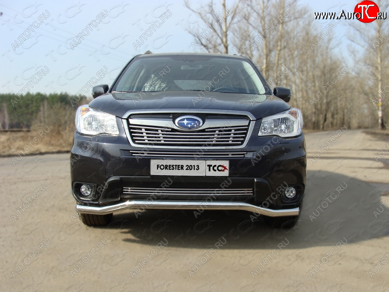 4 299 р. Нижняя декоративная вставка в бампер ТСС Тюнинг  Subaru Forester  SJ (2012-2016) дорестайлинг (d 12 мм)  с доставкой в г. Майкоп
