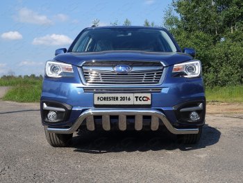 Средняя декоративная вставка в бампер ТСС Тюнинг Subaru Forester SJ рестайлинг (2016-2019) (d 12 мм)