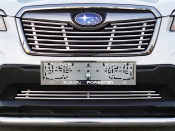 Нижняя декоративная вставка в бампер ТСС Тюнинг Subaru Forester SK/S14 дорестайлинг (2018-2021) (d 12 мм)