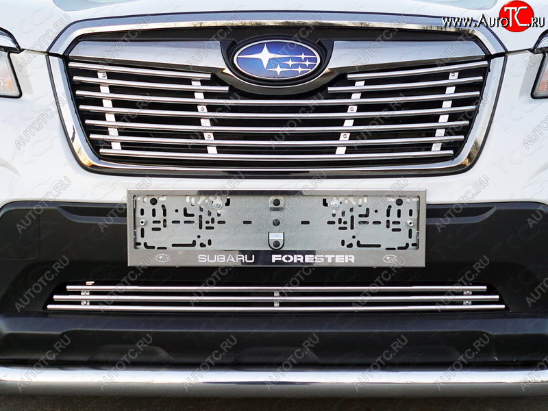 9 549 р. Верхняя декоративная вставка решетки радиатора ТСС Тюнинг  Subaru Forester  SK/S14 (2018-2021) дорестайлинг (d 12 мм)  с доставкой в г. Майкоп