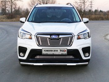 Защита переднего бампера нижняя с ДХО 60,3 мм ТСС Тюнинг Subaru Forester  SK/S14 (2018-2021) дорестайлинг (нержавейка)