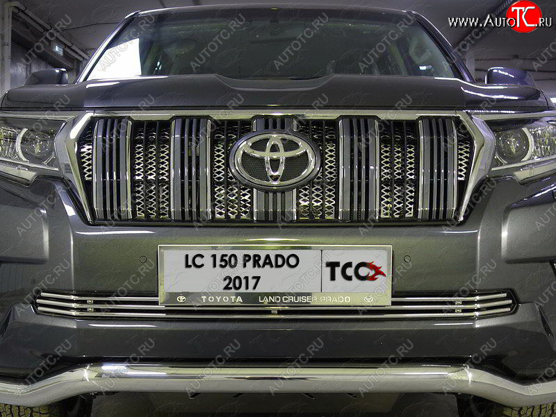 7 349 р. Нижняя декоративная вставка в бампер ТСС Тюнинг  Toyota Land Cruiser Prado  J150 (2017-2020) 2-ой рестайлинг (d 12 мм)  с доставкой в г. Майкоп