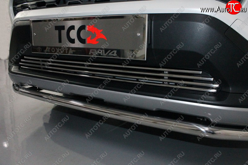 7 349 р. Нижняя декоративная вставка в бампер ТСС Тюнинг  Toyota RAV4  XA50 (2018-2025) 5 дв. дорестайлинг (d 12 мм)  с доставкой в г. Майкоп