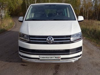 Защита переднего бампера нижняя овальная 75х42 мм ТСС Тюнинг Volkswagen Caravelle  T6 (2015-2019) дорестайлинг (нержавейка)