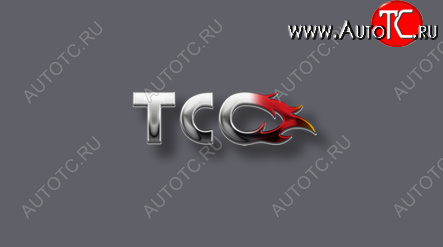 45 999 р. Пороги с площадкой 42,4 мм ТСС Тюнинг Volkswagen Caravelle T6 дорестайлинг (2015-2019) (лист)  с доставкой в г. Майкоп