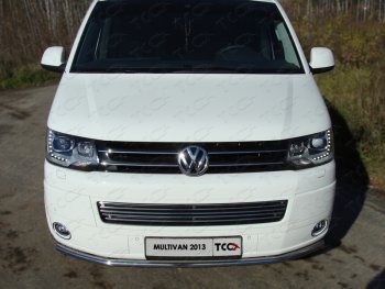 Декоративная вставка переднего бампера ТСС Тюнинг Volkswagen Multivan  T5 (2009-2015) рестайлинг (d 12 мм)